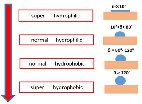 Influence of Biomass Absorptivity on the Process of Sinter Charge ...