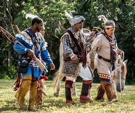 Seminole Wars And Their Impact On The Tribe