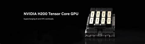 NVIDIA H200 Tensor Core GPU 的图像结果