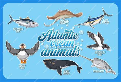 Creatures In Atlantic Ocean