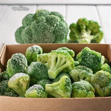 Organic Broccoli Florets 10kg - Bulk - Harvestime NSW