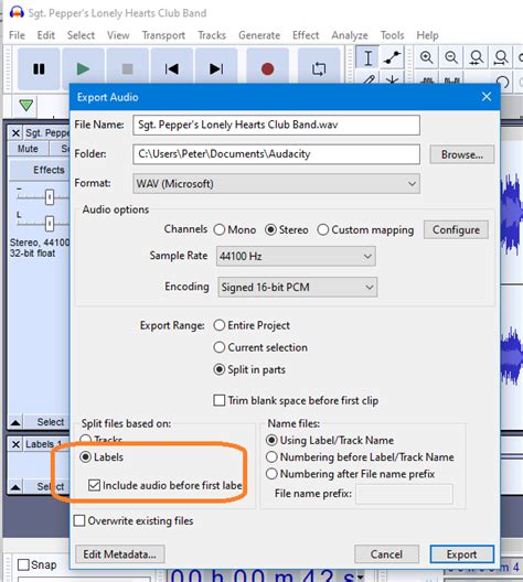 Image result for Audacity Export Labels