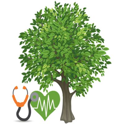 Green Space Health Assessment – Infinite Green Solutions