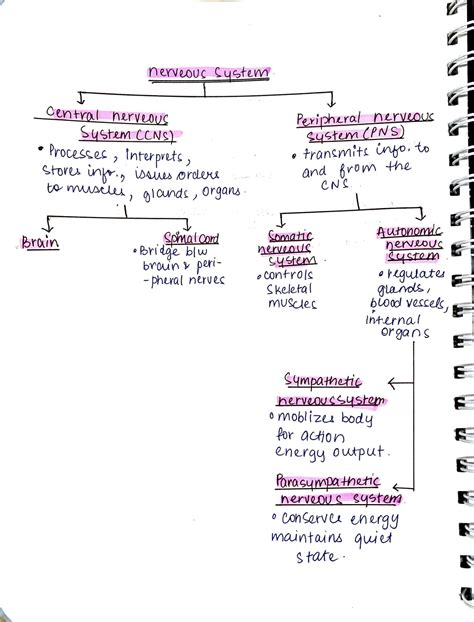 Image result for Nervous System Introduction