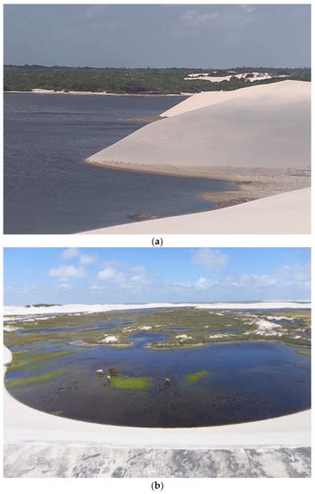 Traditional Communities and Mental Maps: Dialogues between Local ...