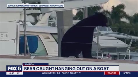 Top News Stories Near Me 的图像结果