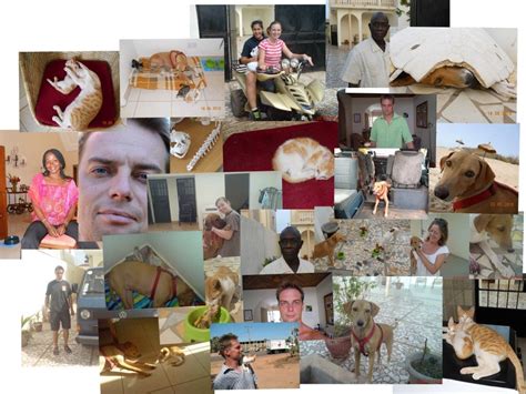 Vet Clinic Gambia : 999+ MANGOWORMS in Puppies - VUAF
