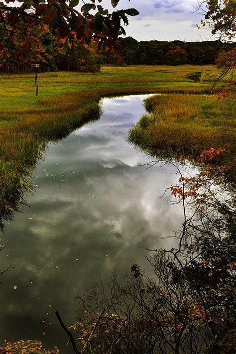 Colorful Fall Scenery Autumn Forest Photo Background And Picture For Free Download - Pngtree
