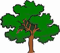 clipart alberi clipart vettoriali di oaktree con ia alberi immagini clipart alberi clipart vettoriali di oaktree con ia alberi immagini