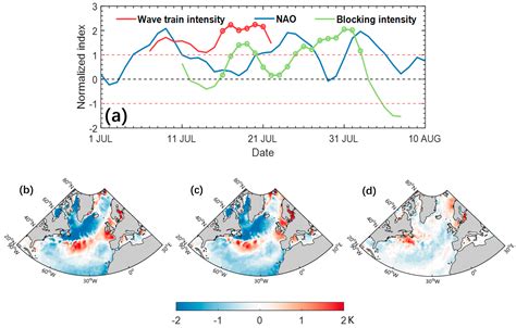 The Linkage of the Large-Scale Circulation Pattern to a Long-Lived ...