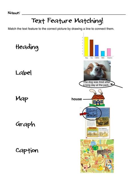Text Features Worksheets Worksheets | Worksheet Hero