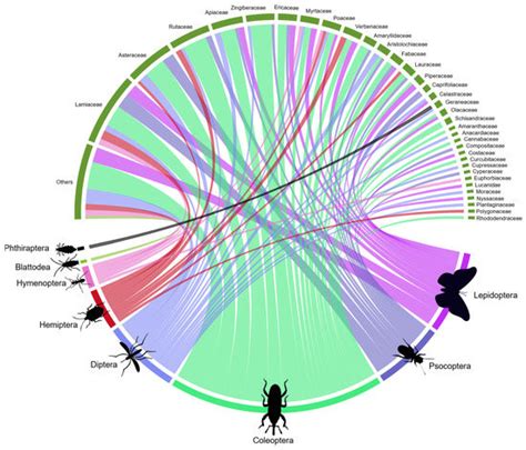 Research Trends, Biases, and Gaps in Phytochemicals as Insecticides ...