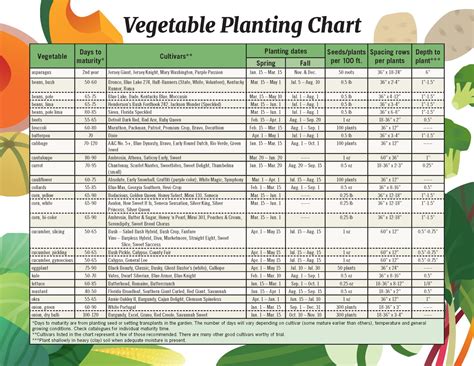 Fall Vegetable Garden Ideas | Paulding Vine