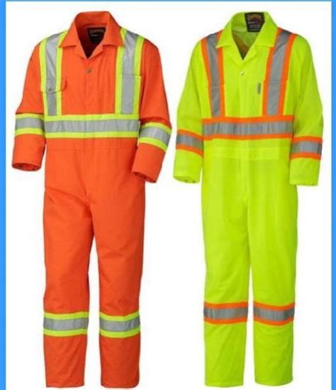 SYS Imports Delhi - Grey Cowrie Shells Exporter and Supplier