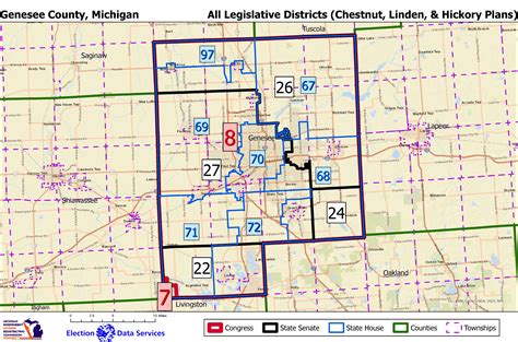 Chamber Michigan Districts Maps