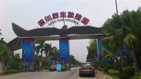 深圳西丽野生动物园旅游攻略！