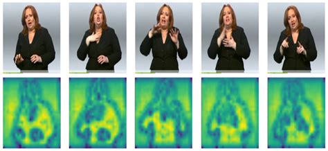 OVSLT: Advancing Sign Language Translation with Open Vocabulary