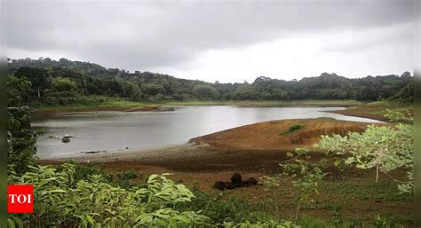 Mismanagement: Drought and mismanagement have left a French island ...