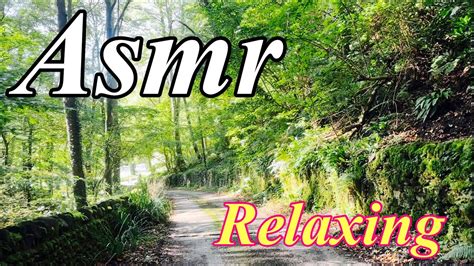 Image result for Relaxing View ASMR