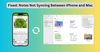 Fix OneNote On Apple Mac Not Syncing 的图像结果