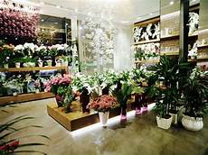 negozio fiori come arredare un negozio di fiori e piante istambul negozio fiori come arredare un negozio di fiori e piante istambul