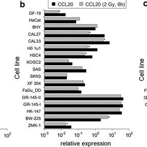 Image result for CXC Transcript