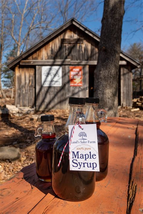 Image result for Maple Syrup House