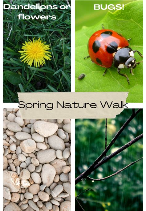 Image result for Spring Fun Walk