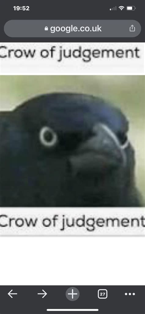 The Crow of judgement has arrived : r/BirdsArentReal