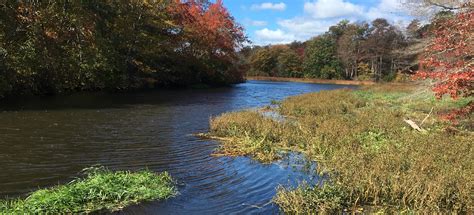 Southaven County Park, New York - 906 Reviews, Map | AllTrails