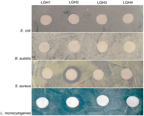 Identification, Recombinant Expression, and Characterization of LGH2, a ...