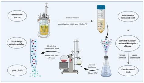 Separation and Purification of Biogenic 1,3-Propanediol from Fermented ...