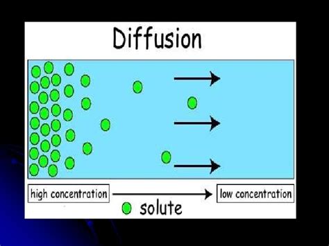 Water Diffusion 的图像结果