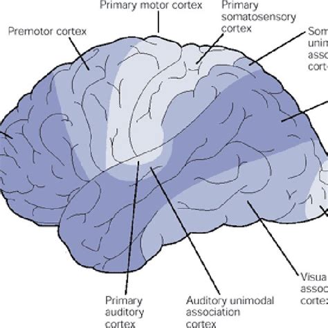 Image result for Cortex-R Vector Table