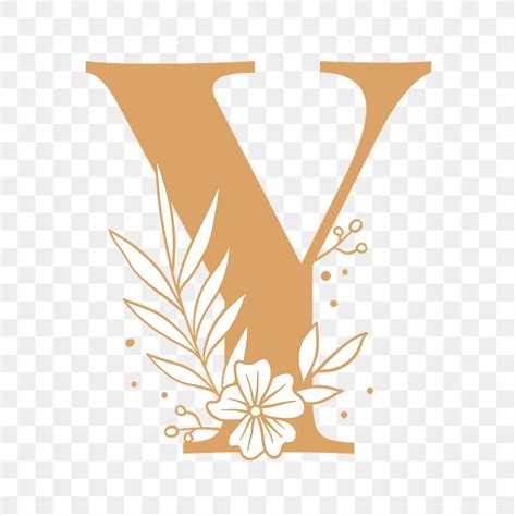 Image result for Y Is a Function of X Examples