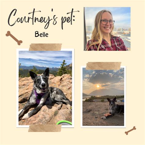 Meet The Pets Of Capital Investment Advisors