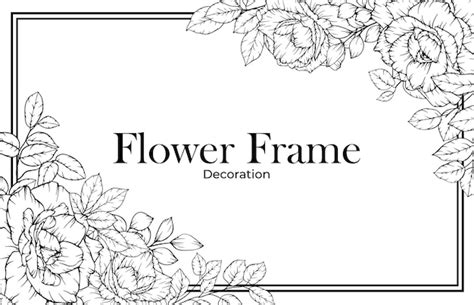 Rose Blume Rahmen Grenze Strichzeichnungen | Premium Vektor