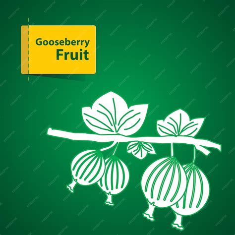 Fruits illustration fruits and vegetables organic food stock ...