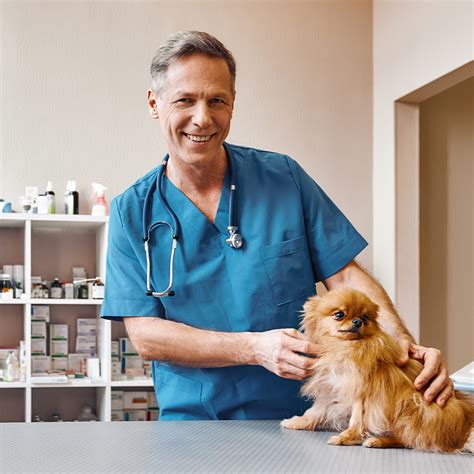 What Makes New Market Animal Hospital Stand Out – New Market Animal ...