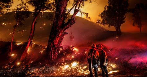 Disaster Prepper 的图像结果