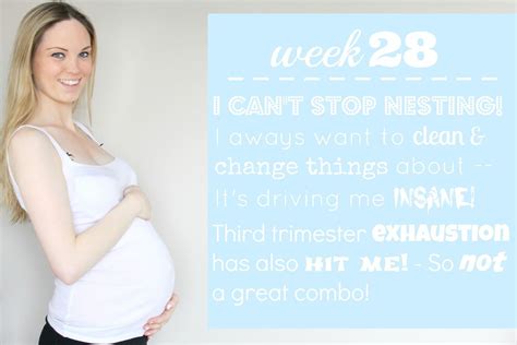 Baby #2: 28 Weeks Pregnant.. I Cannot Stop Nesting! | 28 weeks pregnant ...