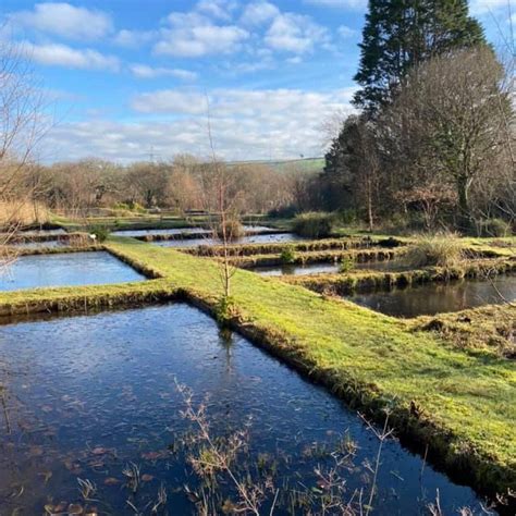 Penrose Water Gardens (Truro) - 2022 What to Know Before You Go (with ...
