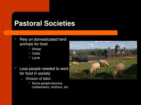 Societies 的图像结果