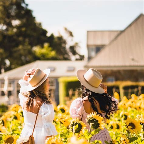 'Furiosa: A Mad Max Saga' 2024 Filming Locations In Australian Desert ...