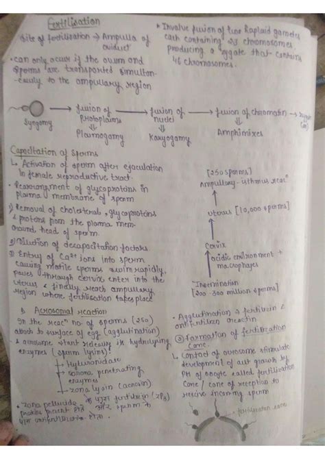 Image result for Parturition Class 12