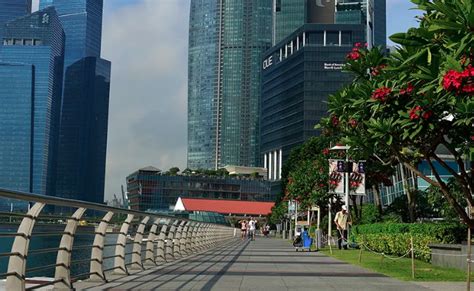 新加坡南海滩住宅-Foster + Partners-居住建筑案例-筑龙建筑设计论坛