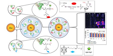 Rational Design of Albumin Theranostic Conjugates for Gold ...