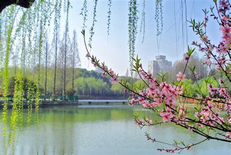 这就是中国春天最值得去的15个地方
