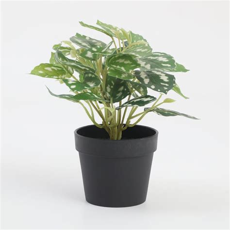 Buy Garnet Garden Artificial Croton Plant in Pot from Home Centre at ...