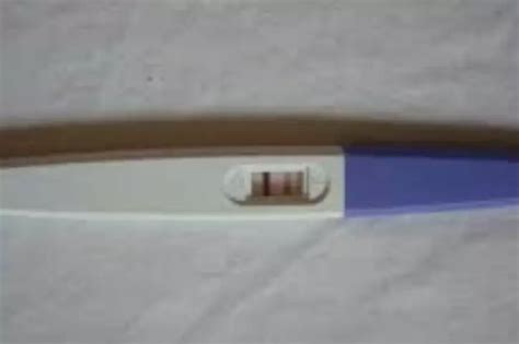 How Do Coronavirus Test Kits Work?